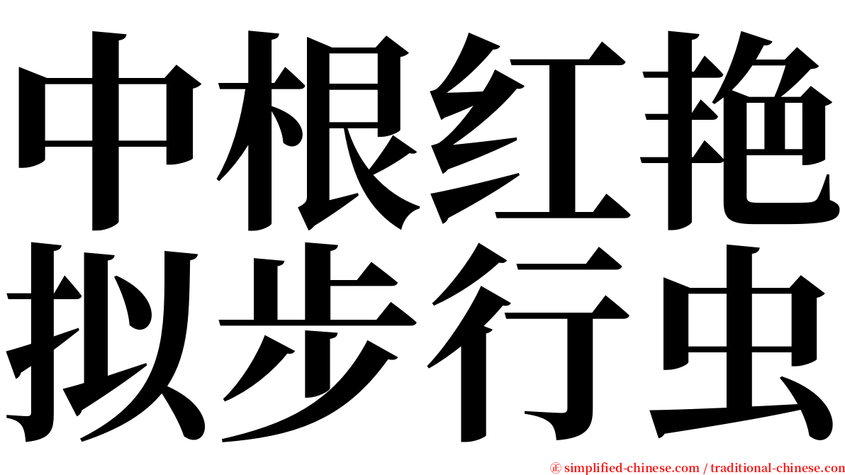 中根红艳拟步行虫 serif font