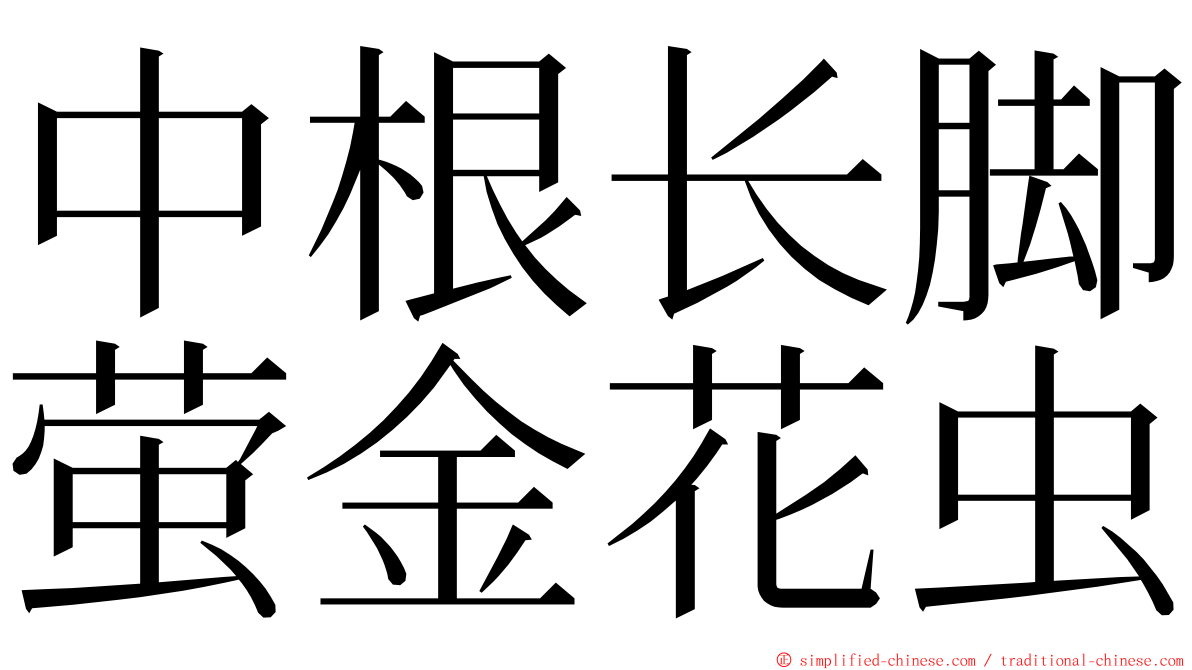 中根长脚萤金花虫 ming font