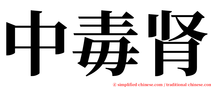 中毒肾 serif font