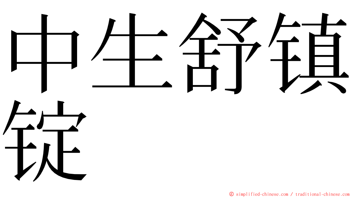 中生舒镇锭 ming font