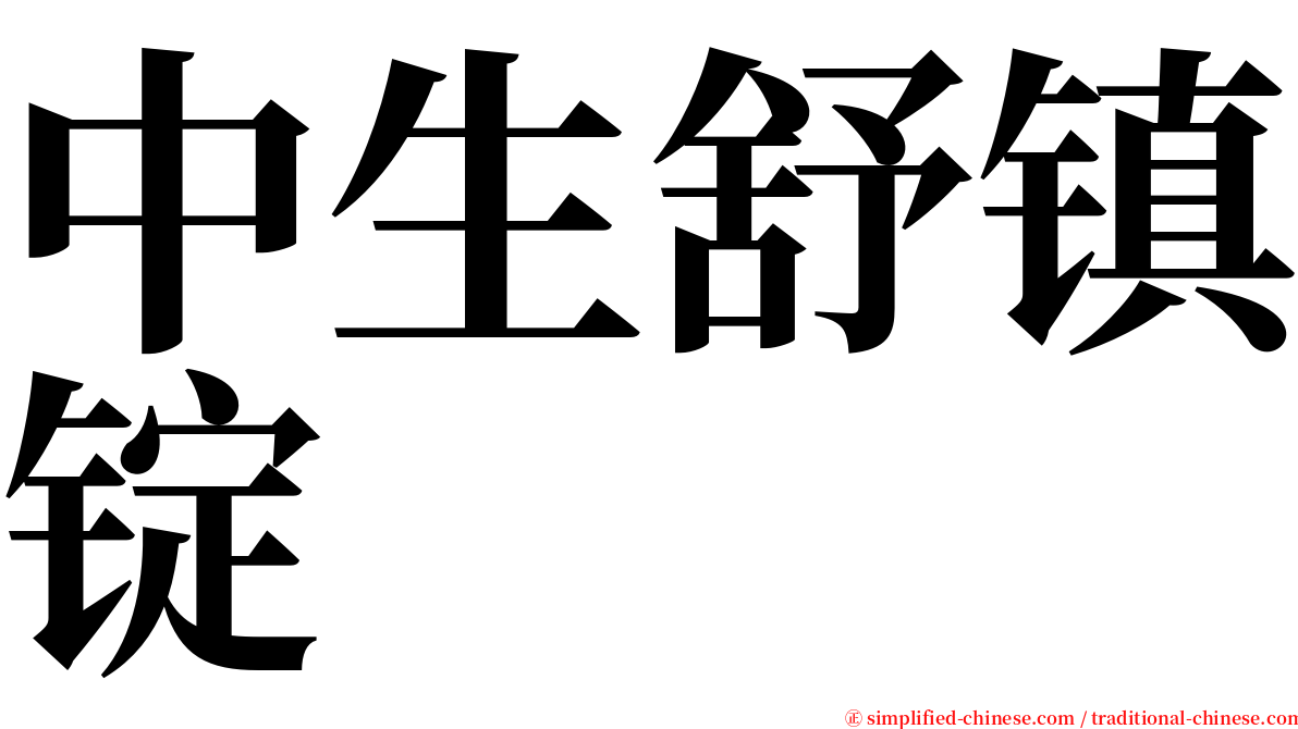 中生舒镇锭 serif font