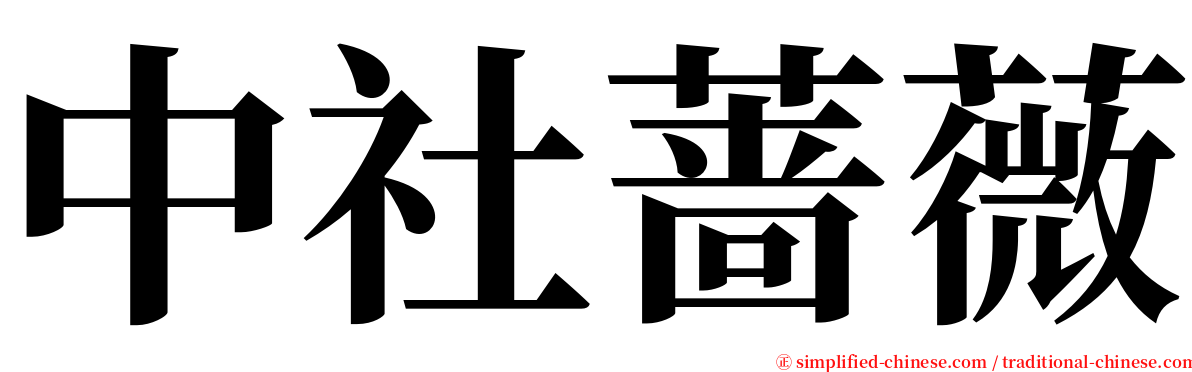 中社蔷薇 serif font