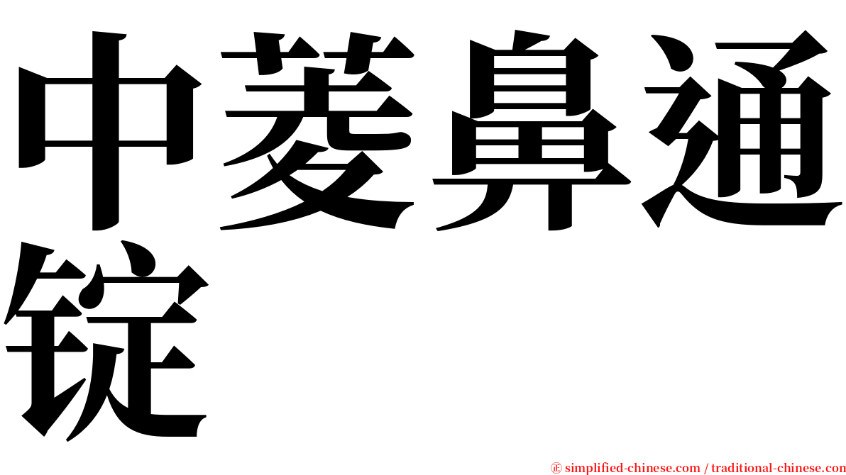 中菱鼻通锭 serif font