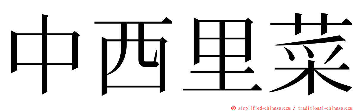 中西里菜 ming font