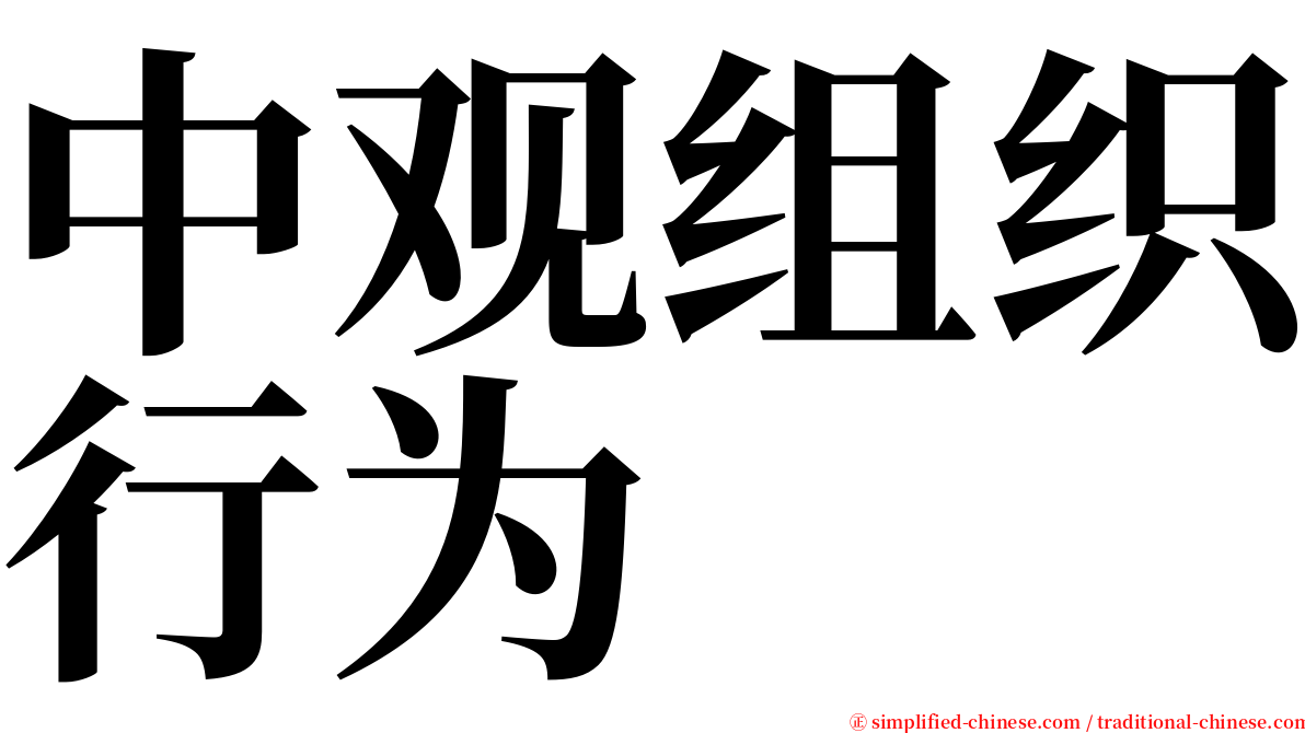 中观组织行为 serif font