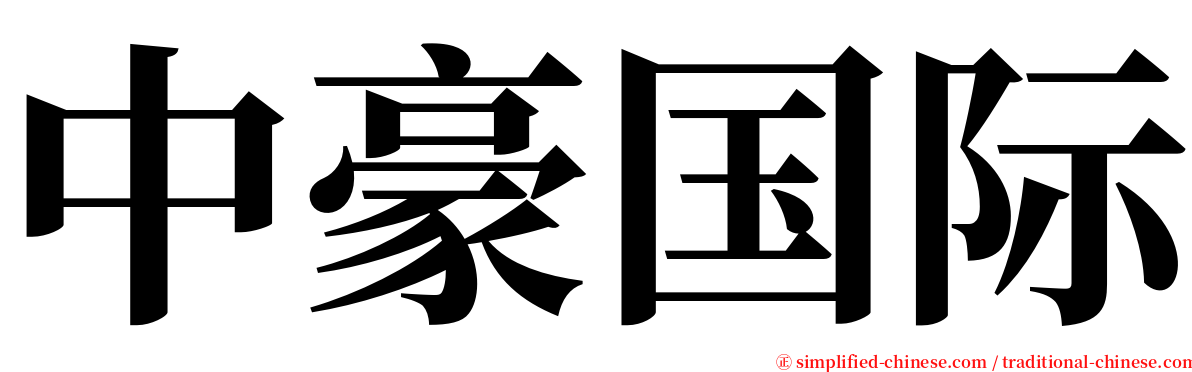 中豪国际 serif font