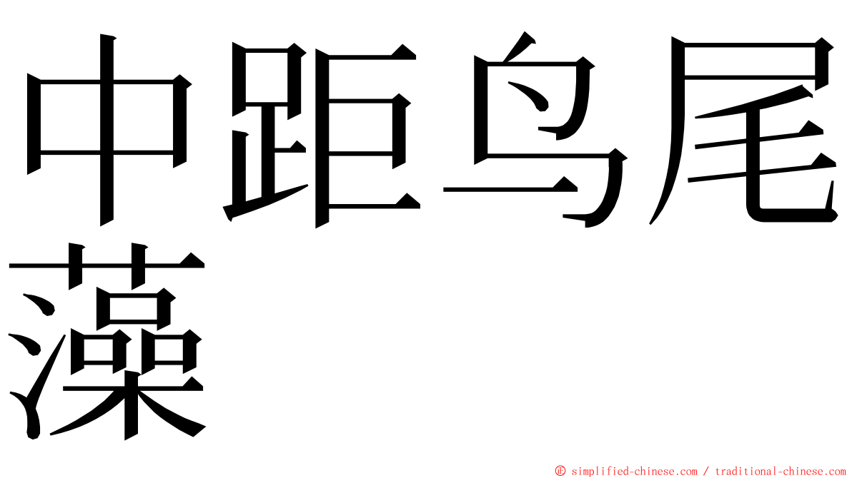 中距鸟尾藻 ming font