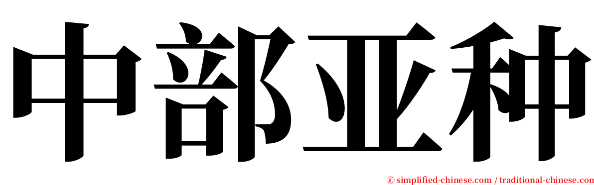 中部亚种 serif font