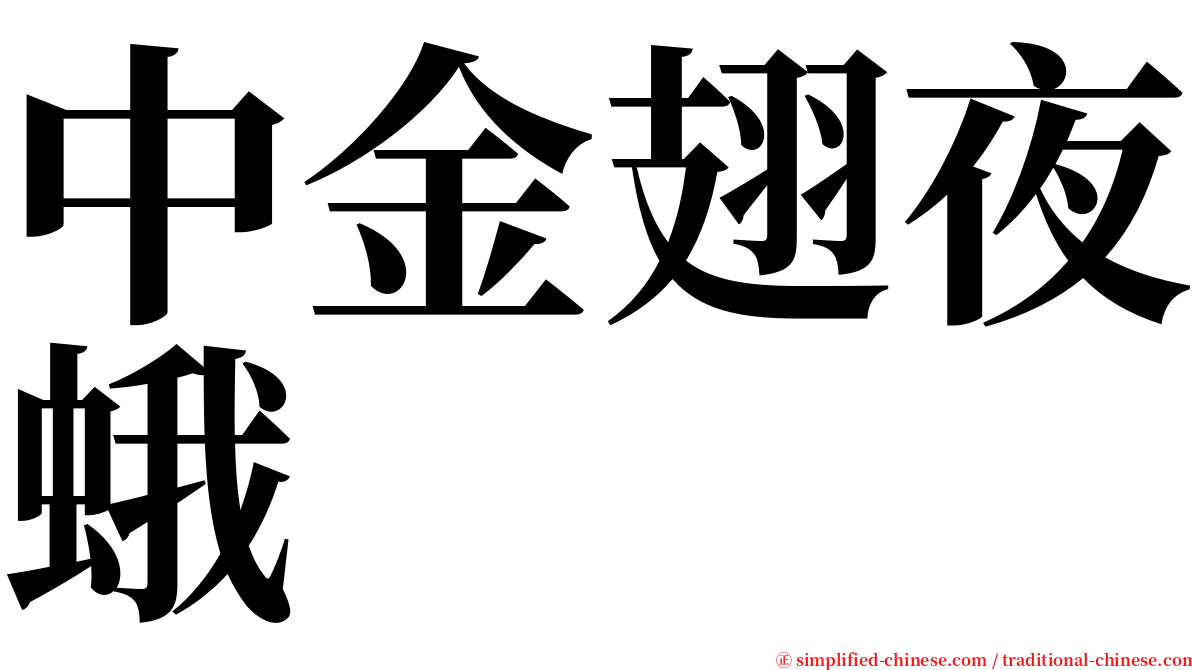 中金翅夜蛾 serif font