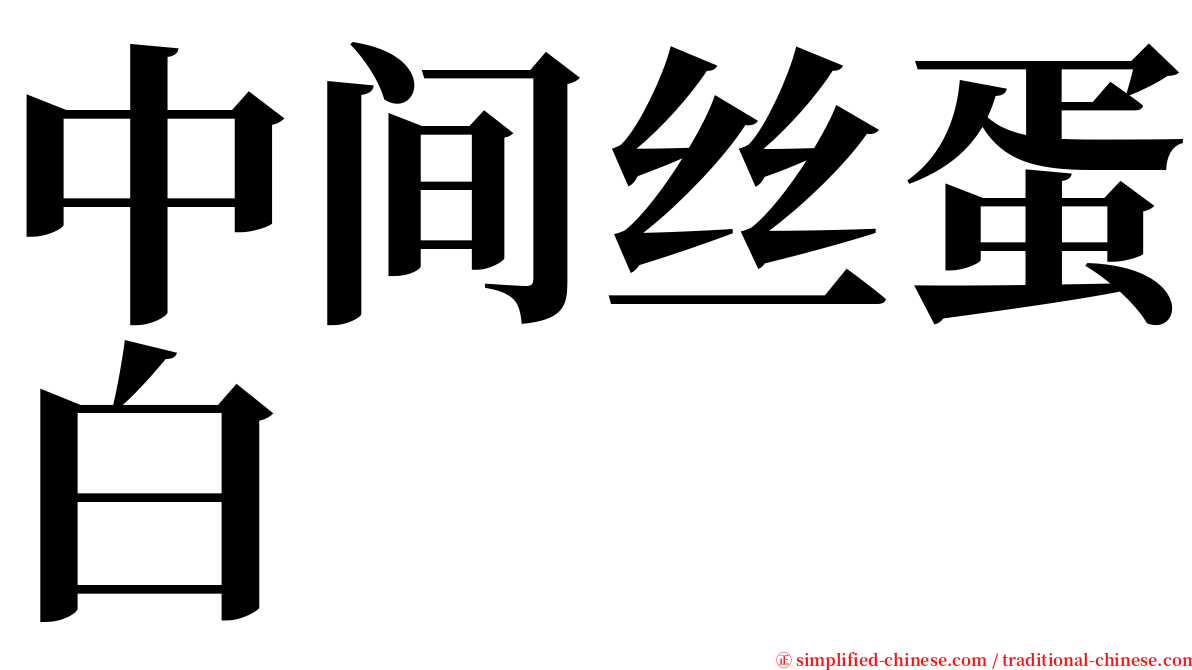 中间丝蛋白 serif font