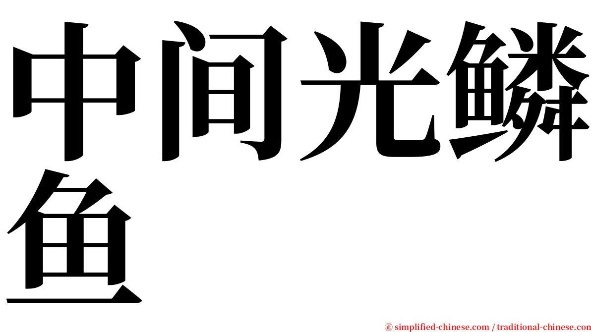 中间光鳞鱼 serif font