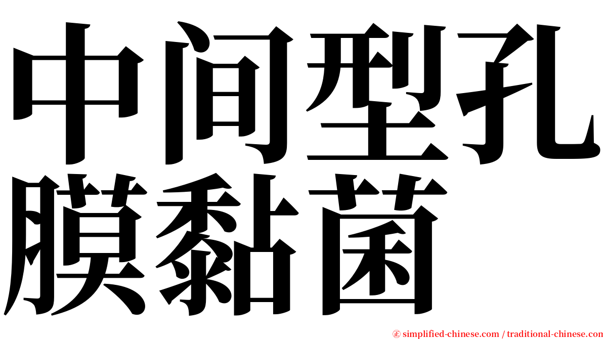 中间型孔膜黏菌 serif font