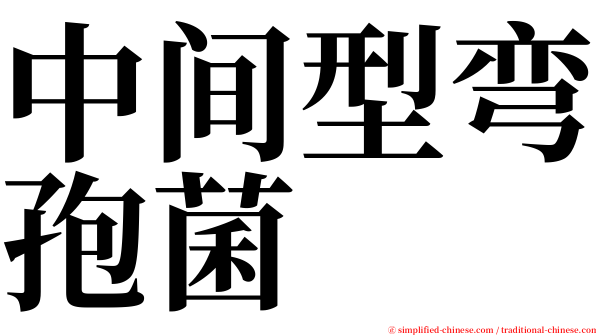 中间型弯孢菌 serif font