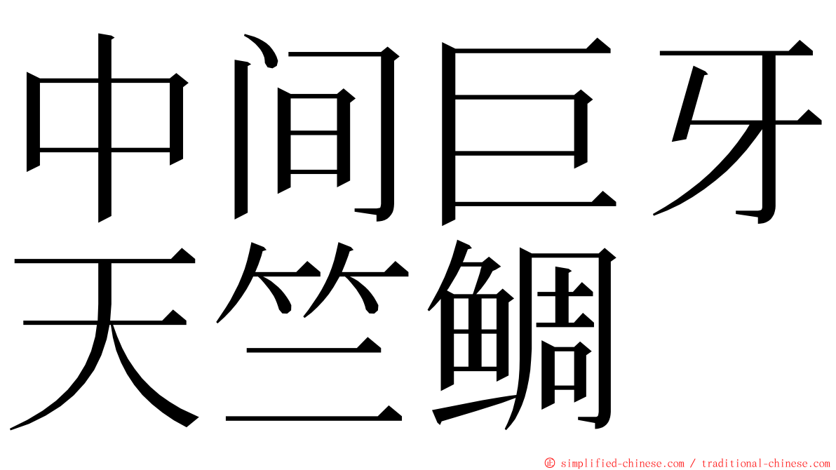 中间巨牙天竺鲷 ming font