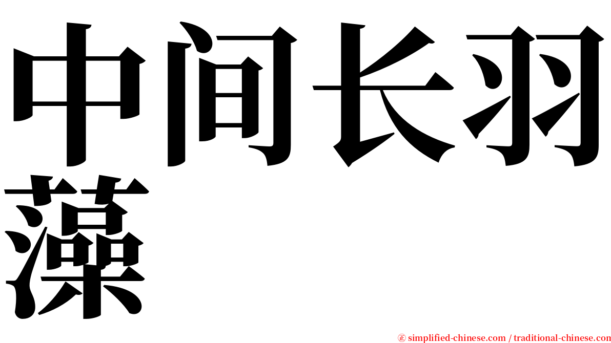 中间长羽藻 serif font