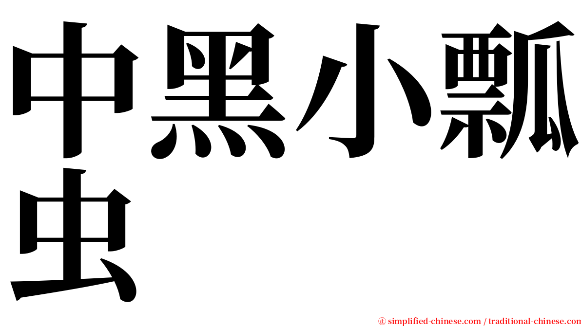 中黑小瓢虫 serif font