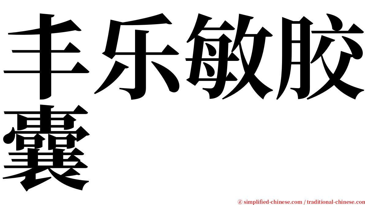 丰乐敏胶囊 serif font