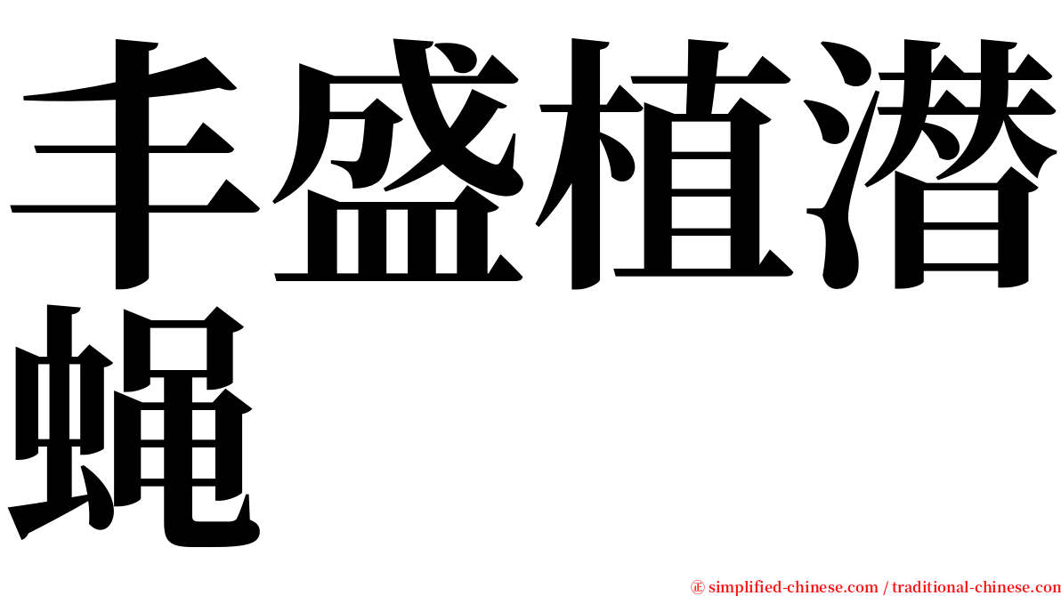 丰盛植潜蝇 serif font