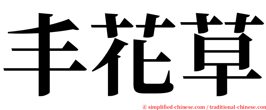 丰花草 serif font