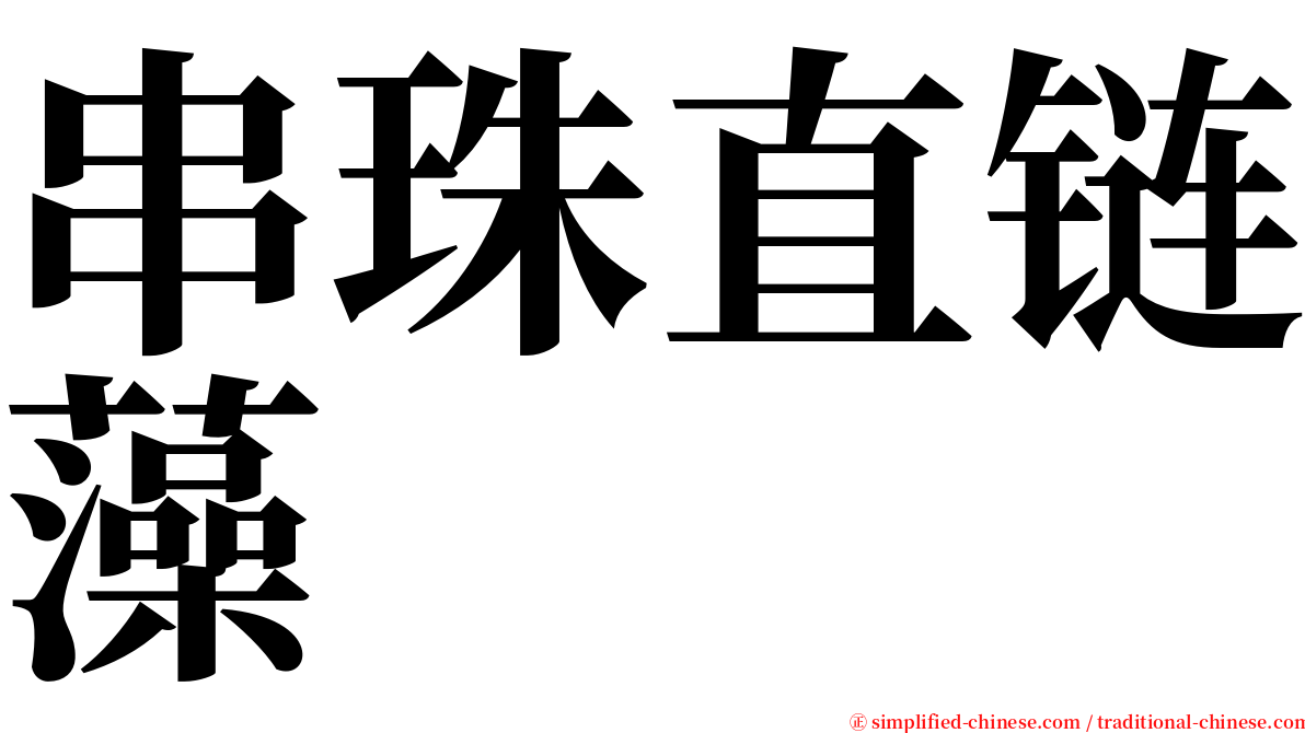 串珠直链藻 serif font