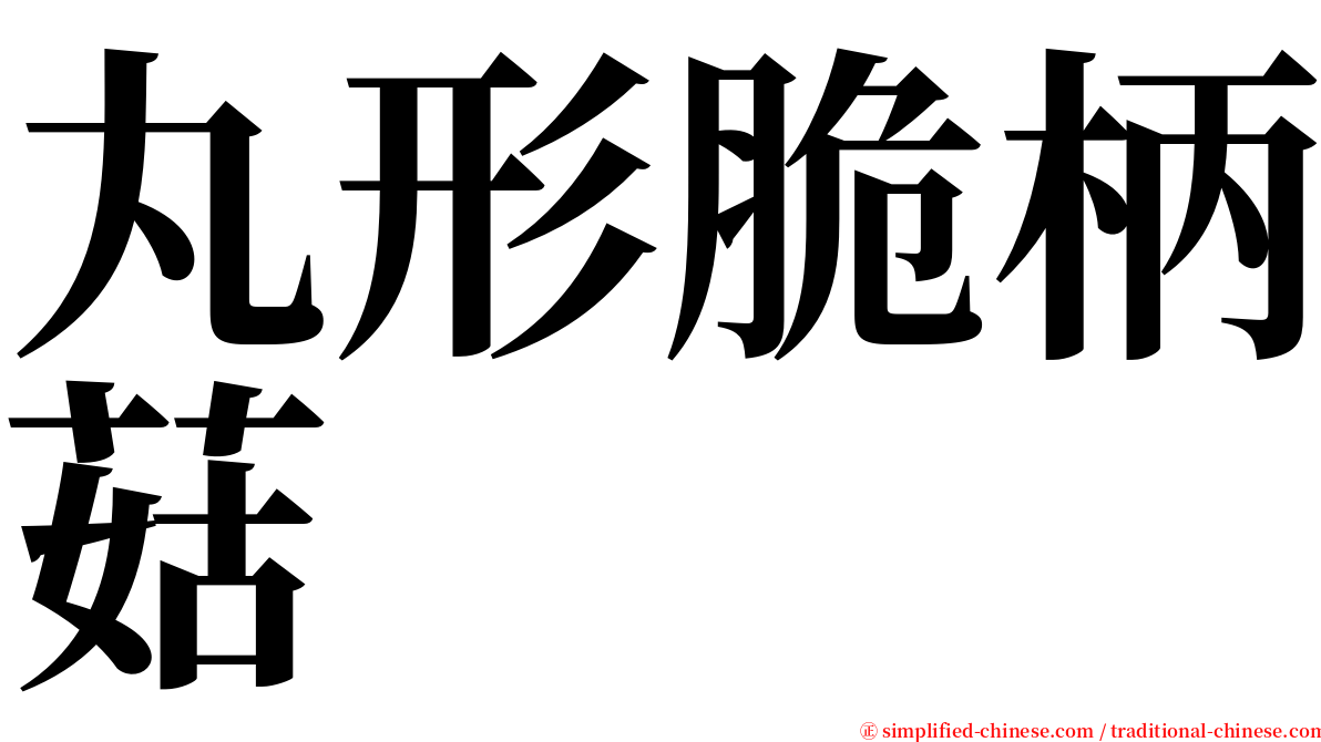 丸形脆柄菇 serif font