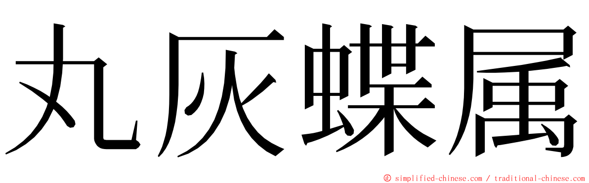 丸灰蝶属 ming font