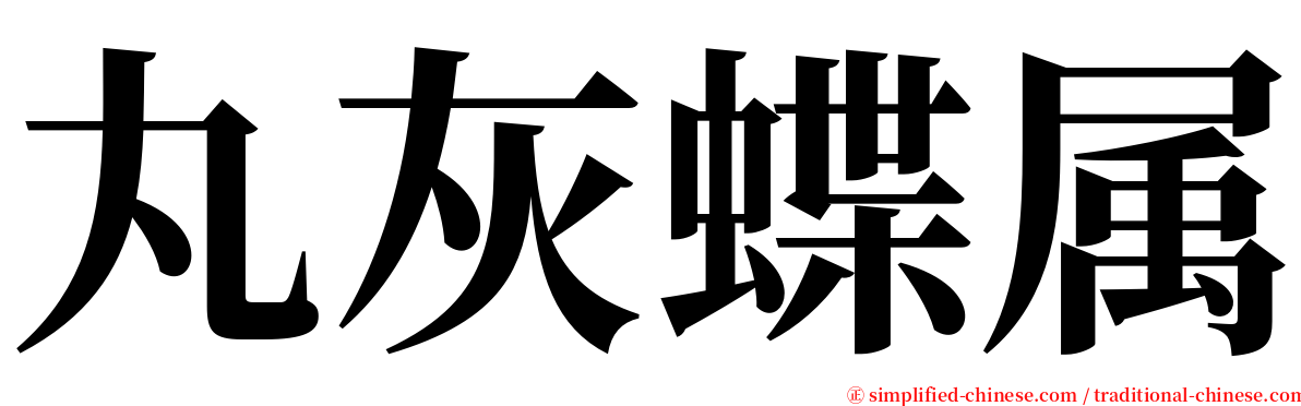 丸灰蝶属 serif font