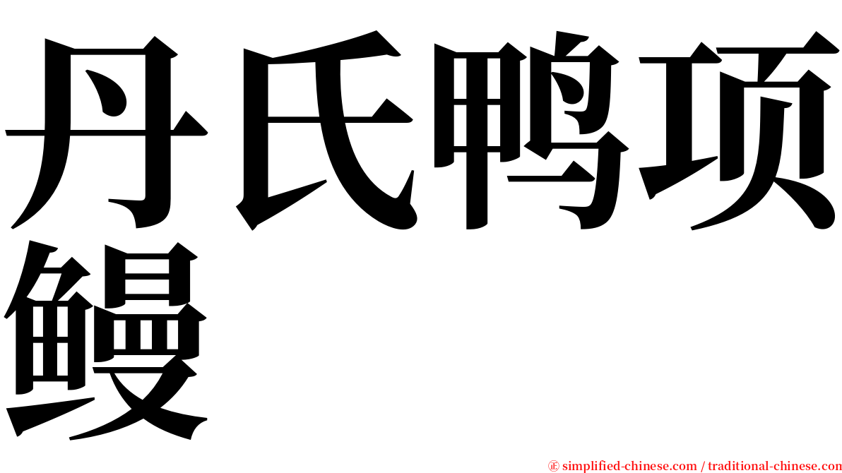 丹氏鸭项鳗 serif font