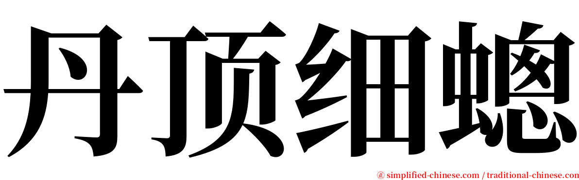 丹顶细蟌 serif font