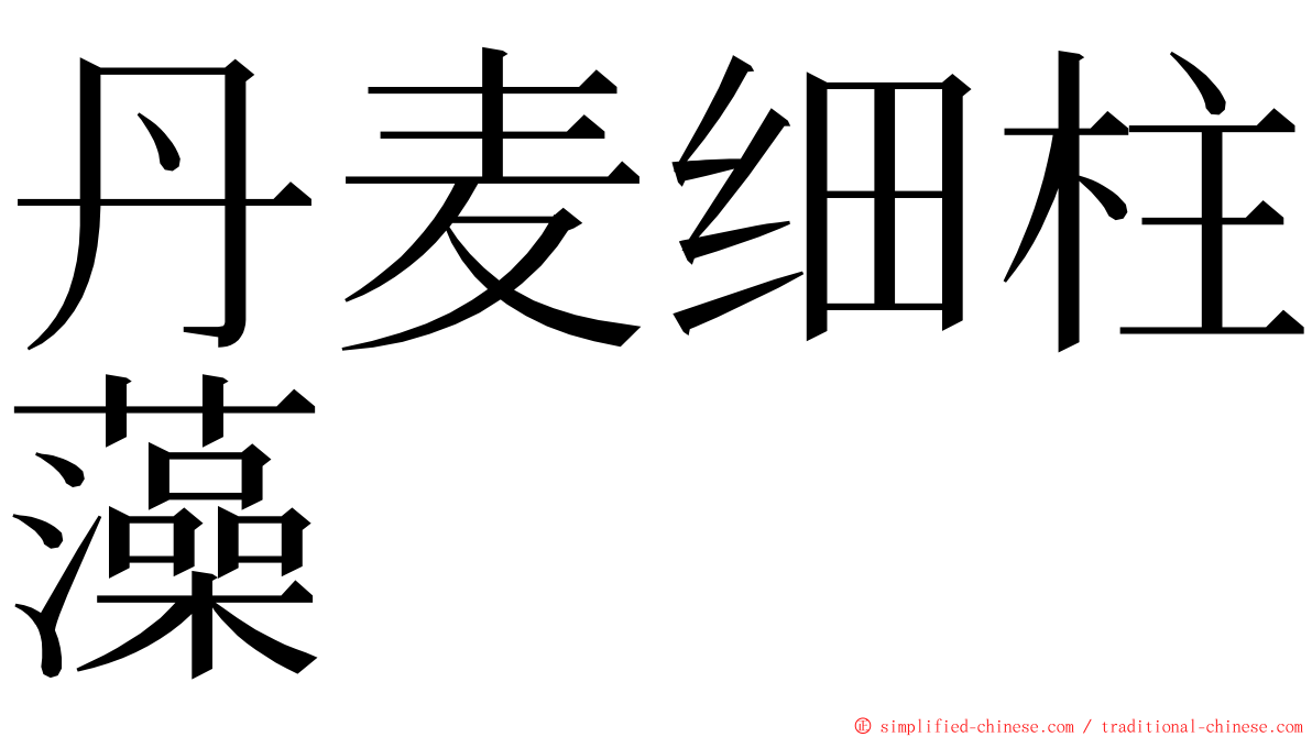 丹麦细柱藻 ming font