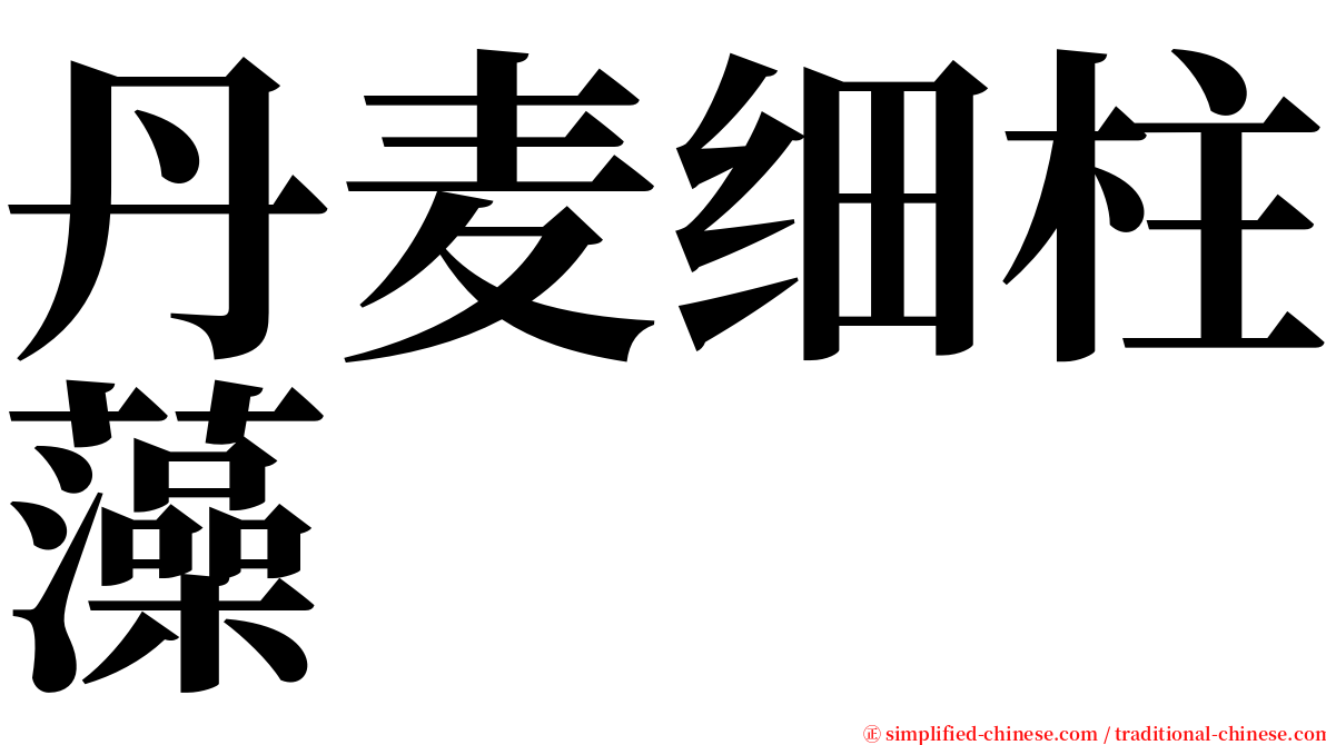 丹麦细柱藻 serif font