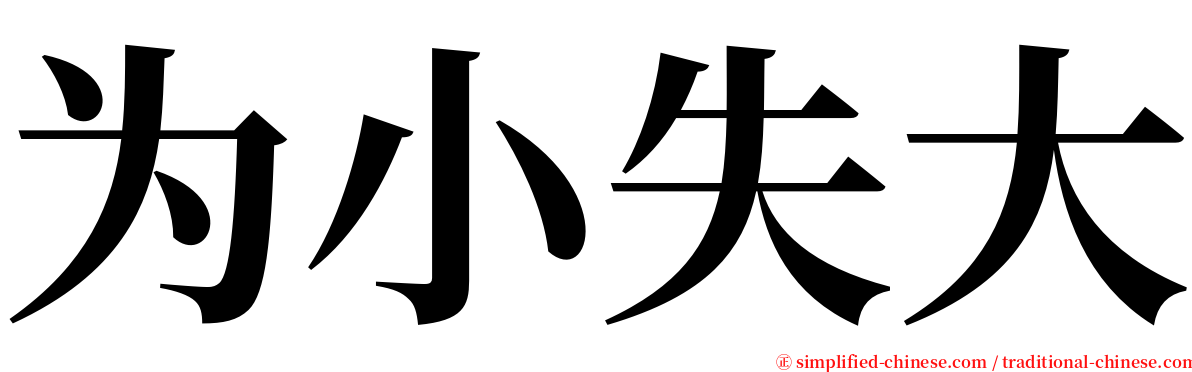 为小失大 serif font