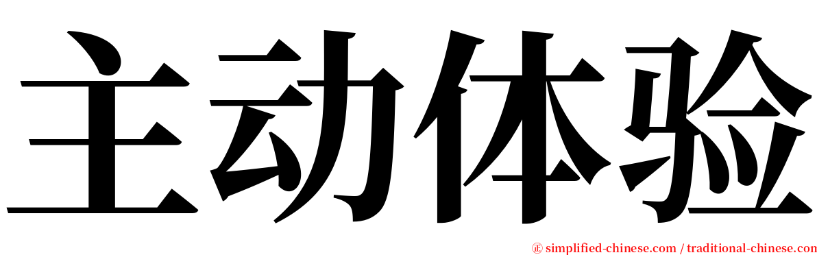 主动体验 serif font