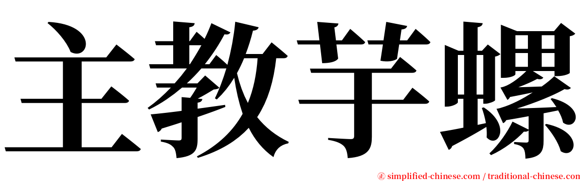 主教芋螺 serif font