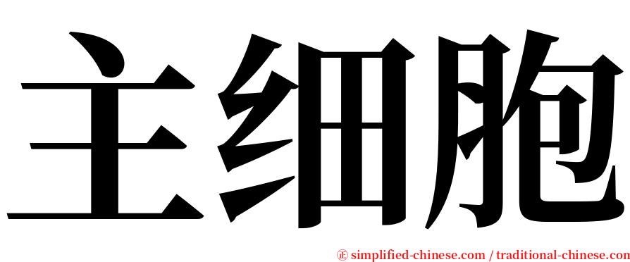 主细胞 serif font