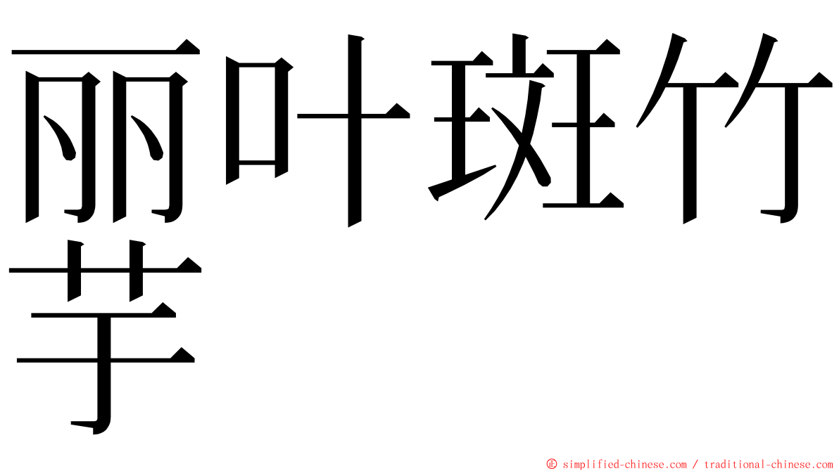 丽叶斑竹芋 ming font