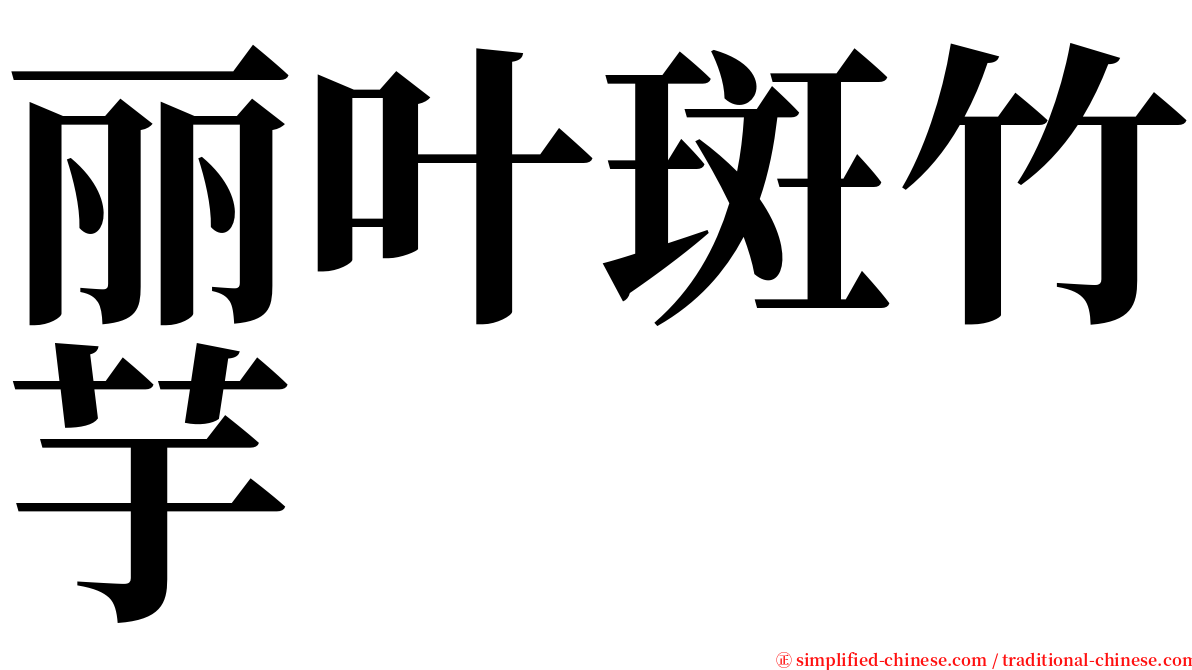 丽叶斑竹芋 serif font