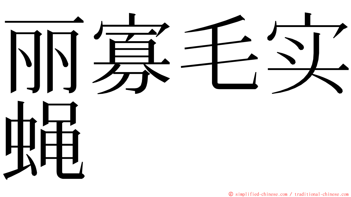 丽寡毛实蝇 ming font