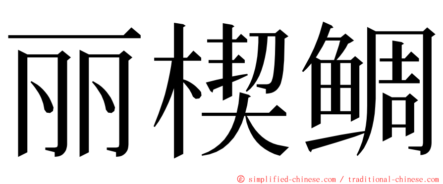 丽楔鲷 ming font