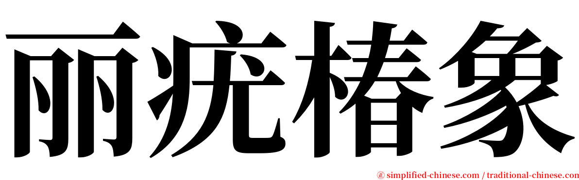 丽疣椿象 serif font