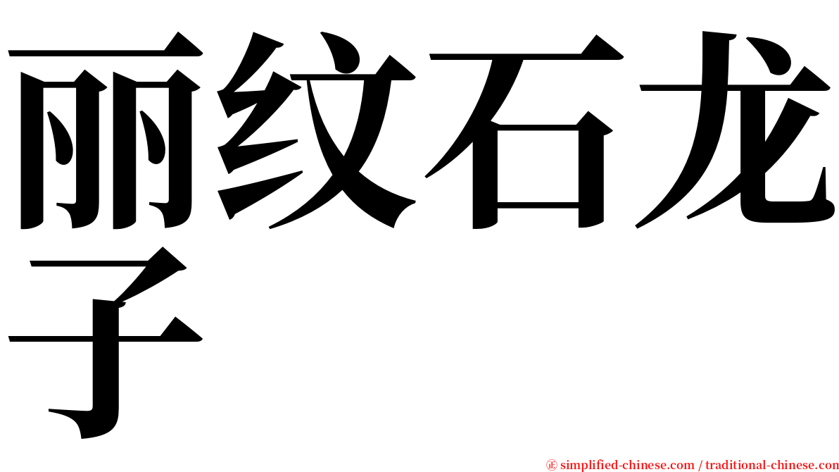 丽纹石龙子 serif font