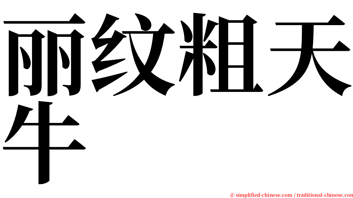 丽纹粗天牛 serif font