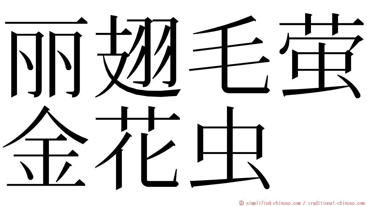 丽翅毛萤金花虫 ming font