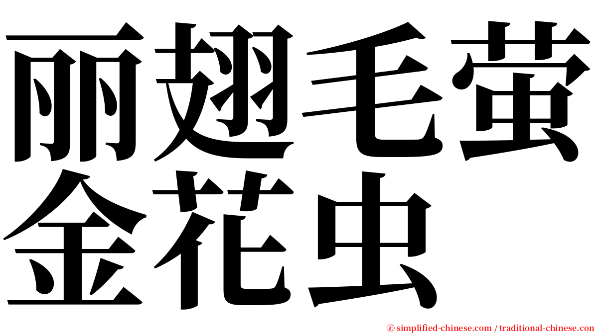 丽翅毛萤金花虫 serif font