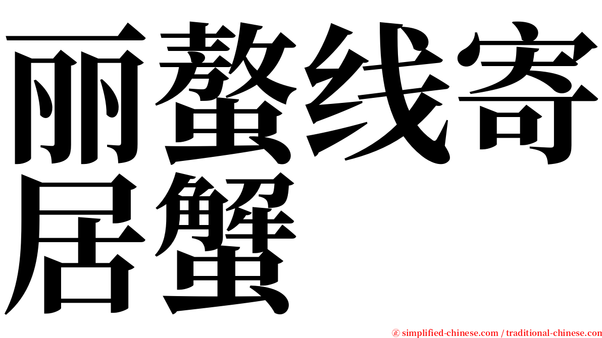 丽螯线寄居蟹 serif font