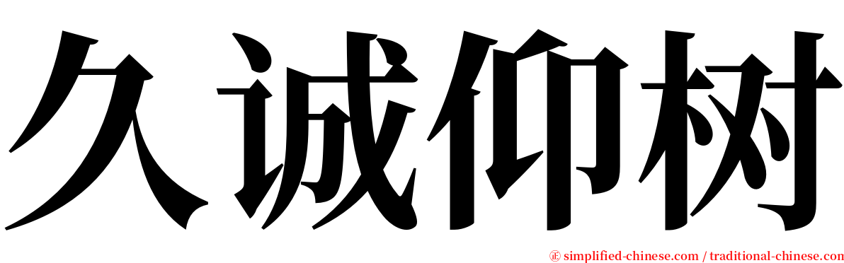 久诚仰树 serif font