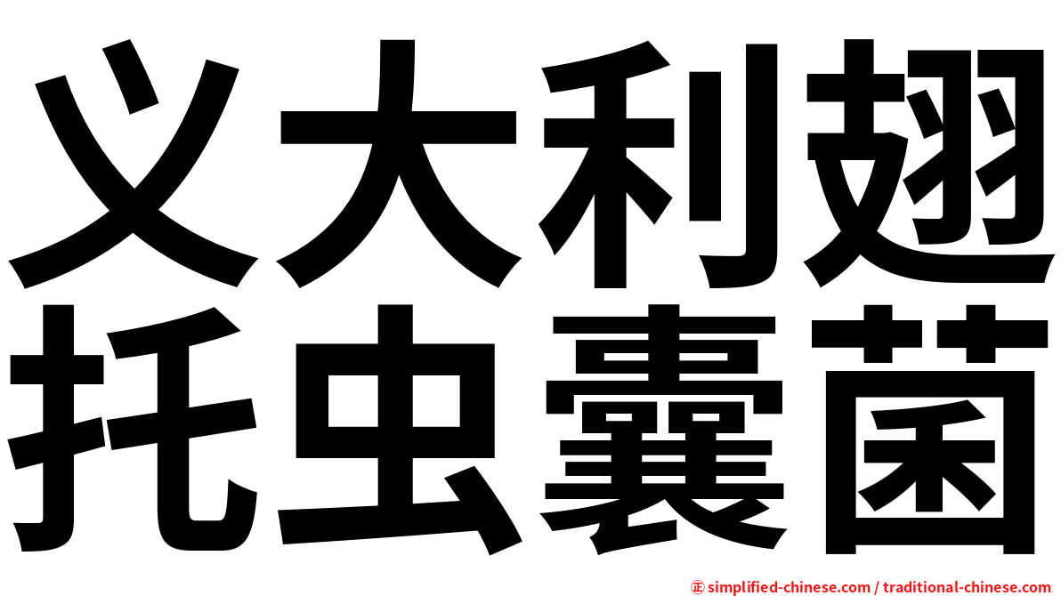义大利翅托虫囊菌