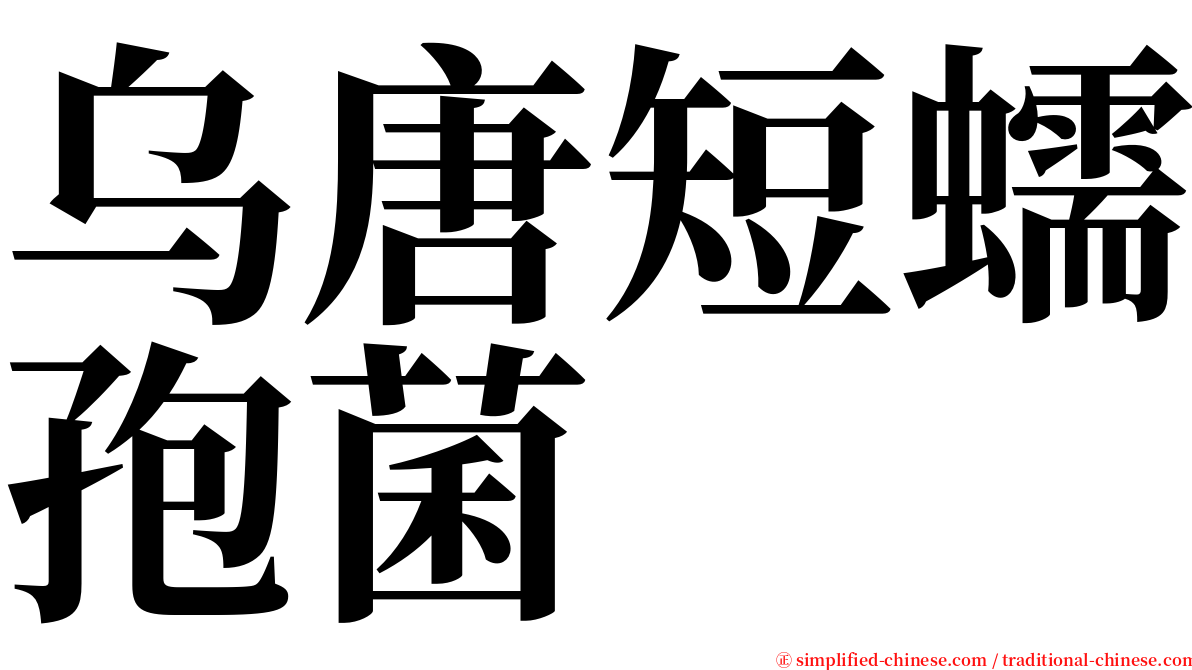乌唐短蠕孢菌 serif font