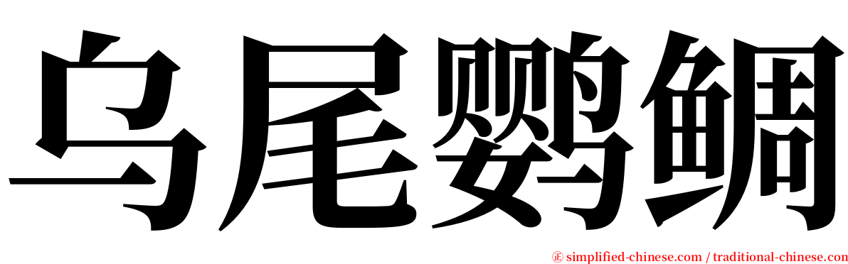 乌尾鹦鲷 serif font