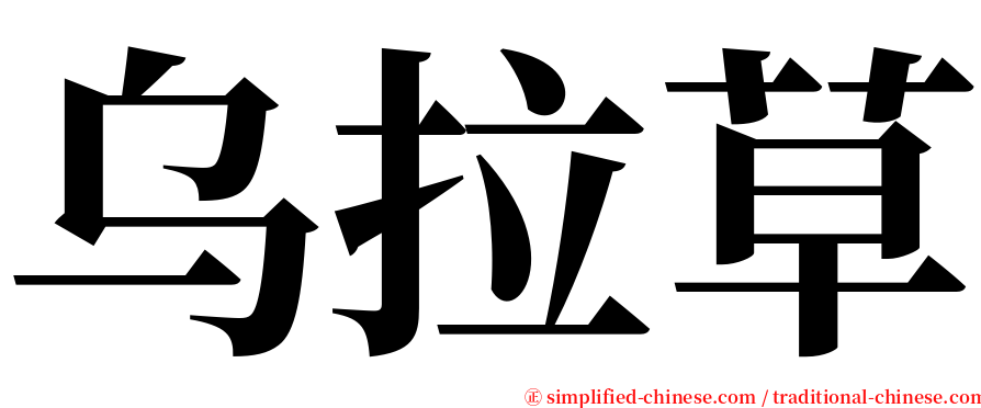 乌拉草 serif font
